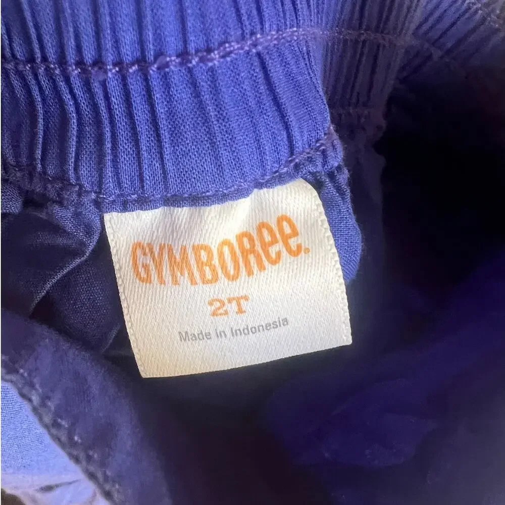 Gymboree Rainbow Dress